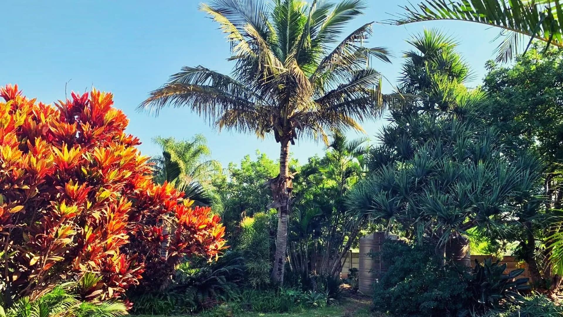 Garden view at The Wilds Guest House